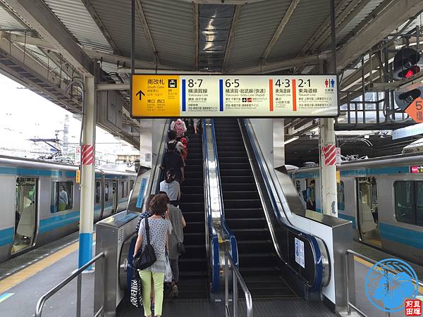 IMG_4716.jpg IMG_4716.jpg