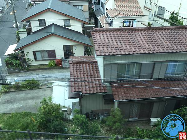 IMG_4728.jpg IMG_4728.jpg