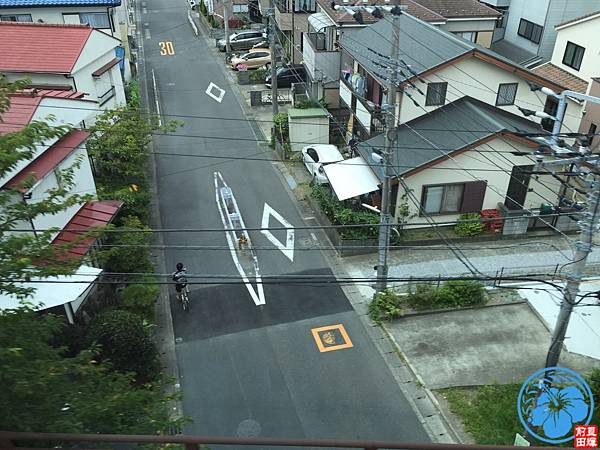 IMG_4729.jpg IMG_4729.jpg