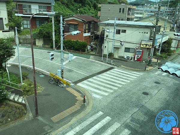 IMG_4731.jpg IMG_4731.jpg