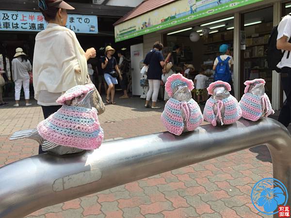 IMG_4743.jpg IMG_4743.jpg