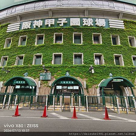阪神甲子園球場 阪神甲子園球場