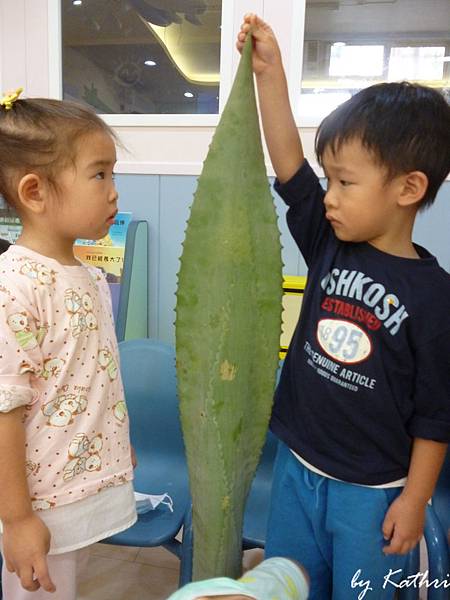 121016 植物課（媽媽就不懂了）