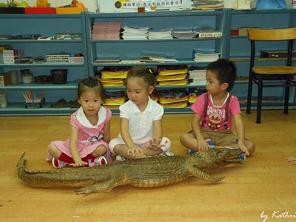 131001[陽光蔬果園-來看水果]自然田園教學 爬行類動物-認識龜、鱷、蜥蜴與蛇共同的特徵.JPG