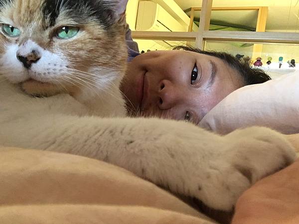 %E6%9C%AA%E5%91%BD%E5%90%8D