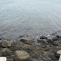 退潮中的濱海逐漸露出潮間帶