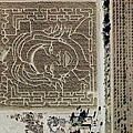 奧普拉迷宮