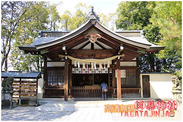 名古屋通勤 愛知縣好奇廟 高清無碼田縣神社 小馨眼旅行說明書 痞客邦