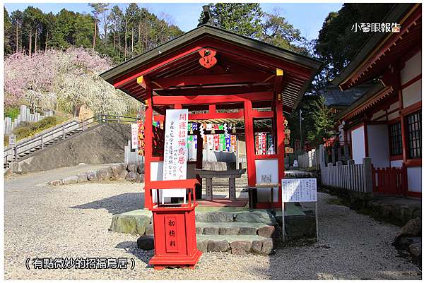 名古屋通勤 愛知縣好奇廟 大縣神社絕美梅花祭 小馨眼旅行說明書 痞客邦