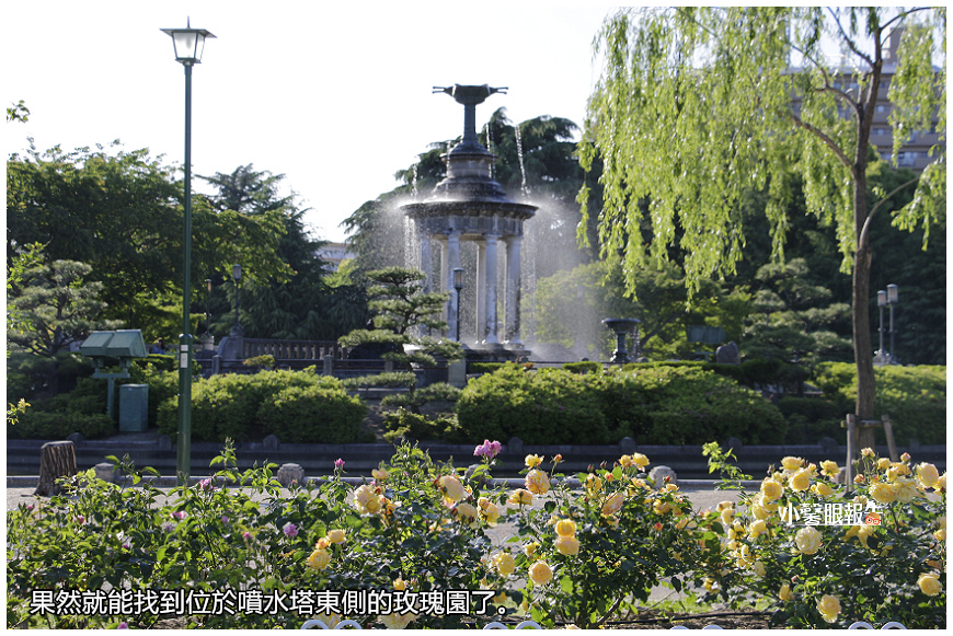 名古屋通勤 初夏徜徉鶴舞公園玫瑰園 小馨眼旅行說明書 痞客邦 名古屋通勤 初夏徜徉鶴舞公園玫瑰園 小馨眼旅行說明書 痞客邦