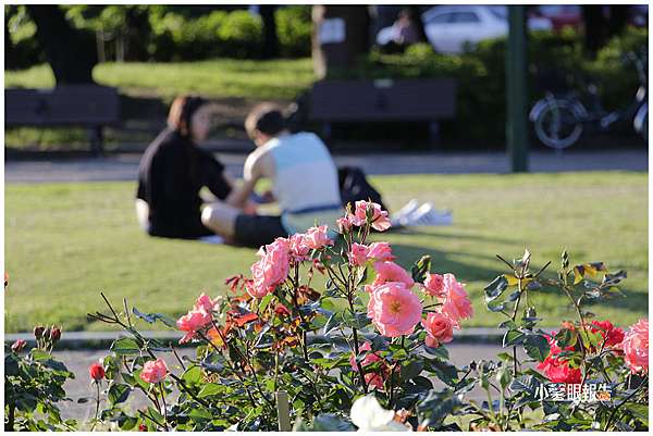 名古屋通勤 初夏徜徉鶴舞公園玫瑰園 小馨眼旅行說明書 痞客邦