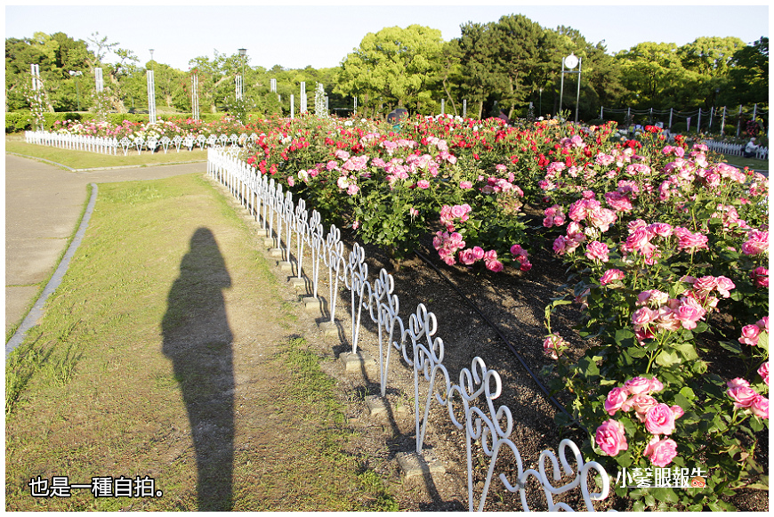 名古屋通勤 初夏徜徉鶴舞公園玫瑰園 小馨眼旅行說明書 痞客邦 名古屋通勤 初夏徜徉鶴舞公園玫瑰園 小馨眼旅行說明書 痞客邦