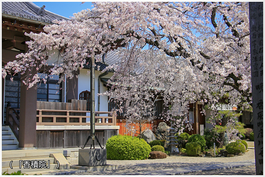 大永寺 (5).jpeg