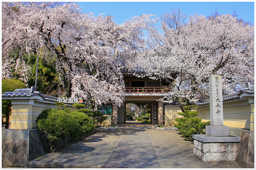 大永寺 (13).jpeg