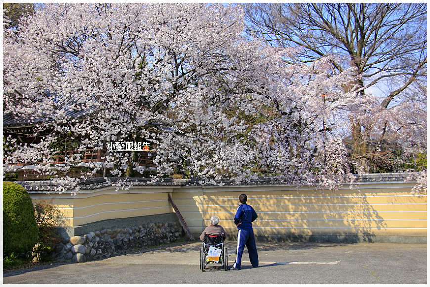 大永寺 (15).jpeg