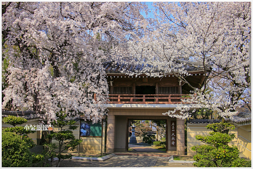 大永寺 (26).jpeg