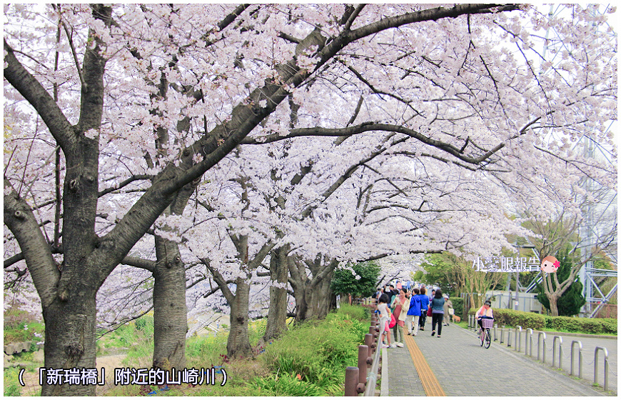 山崎川櫻花之路 (7).jpeg