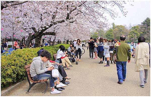 名古屋賞櫻 野餐吧 在春櫻繚繞的櫻花百選 鶴舞公園 體驗花見之 媽 我上電視了 小馨眼旅行說明書 痞客邦 名古屋賞櫻 野餐吧 在春櫻繚繞的櫻花百選 鶴舞公園 體驗花見之 媽 我上電視了 小馨眼旅行說明書 痞客邦