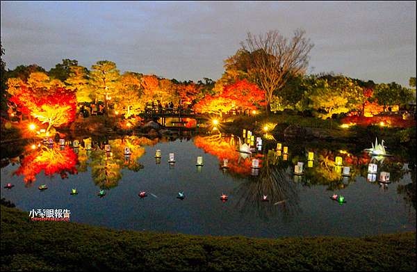 名古屋賞楓 從紅葉到雪吊點亮世界 白鳥庭園 一票到底日夜皆美 夜楓期間限定 小馨眼旅行說明書 痞客邦