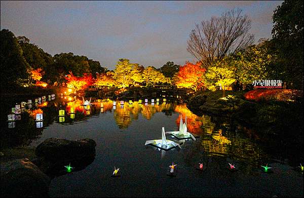 名古屋賞楓 從紅葉到雪吊點亮世界 白鳥庭園 一票到底日夜皆美 夜楓期間限定 小馨眼旅行說明書 痞客邦