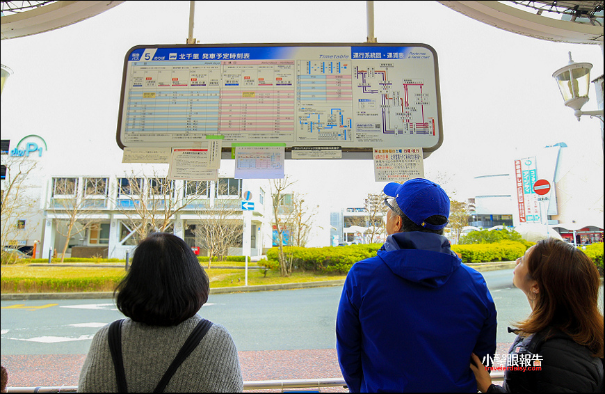 大阪秋楓景 大阪郊區 勝尾寺 紅葉美到冒煙還有達摩助勝運up Up 圖多 小馨眼旅行說明書 痞客邦