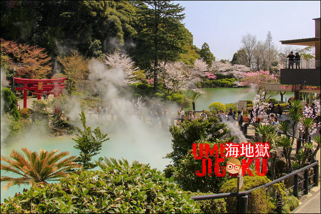 九州 大分 春日限定好風景 櫻花樹下蔚藍 海地獄 別府巡禮必至 小馨眼旅行說明書 痞客邦