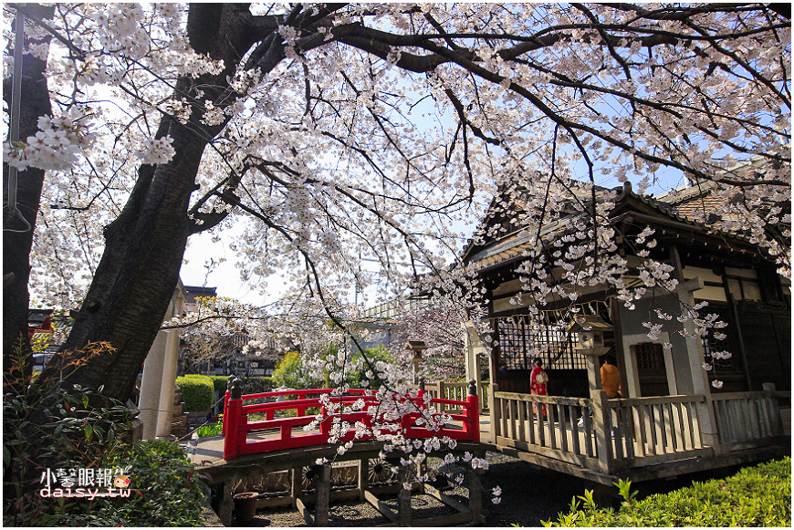 京都櫻風景 源氏祖社 六孫王神社 最靠近京都車站的攝影寫真聖地 近 東寺 小馨眼旅行說明書 痞客邦 京都櫻風景 源氏祖社 六孫王神社 最靠近京都車站的攝影寫真聖地 近 東寺 小馨眼旅行說明書 痞客邦