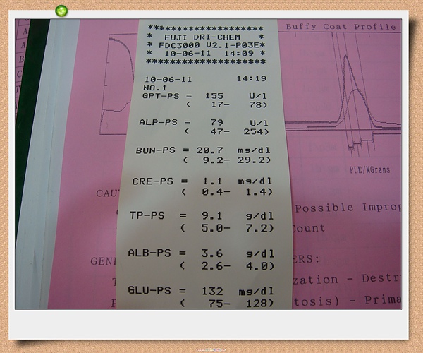 血檢報告1.jpg