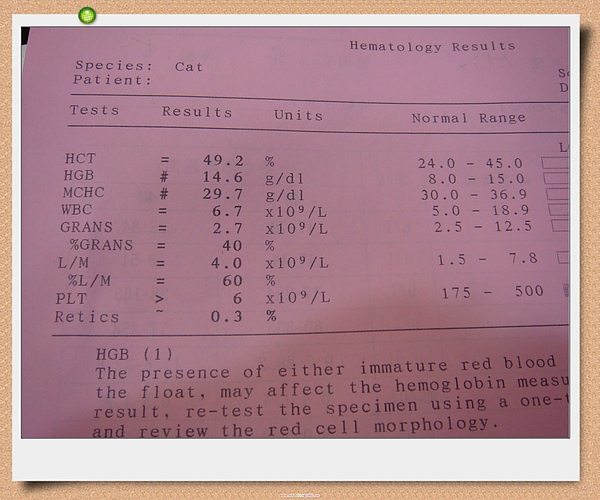 血檢報告2.jpg
