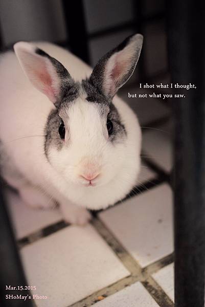 I shot what I though,not what you thought.