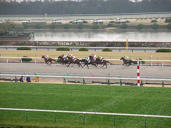 日本 16冬 京都 京都競馬場京都金杯 蝶繥的記憶閣 痞客邦