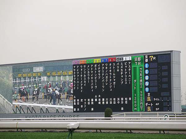 日本 16冬 京都 京都競馬場京都金杯 蝶繥的記憶閣 痞客邦