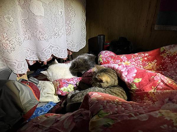 IMG_3690.JPG IMG_3690.JPG