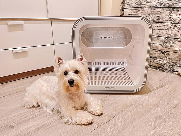 新款 Pet Marvel 寵物烘毛箱 H4：可觸控調溫、四