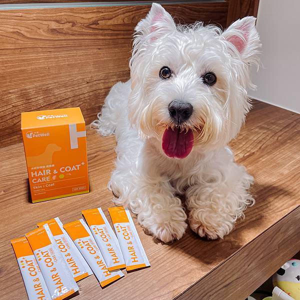 毛孩皮膚保健 潮濕紅疹Out!! 沛威狗保健-膚健康 粉狀保