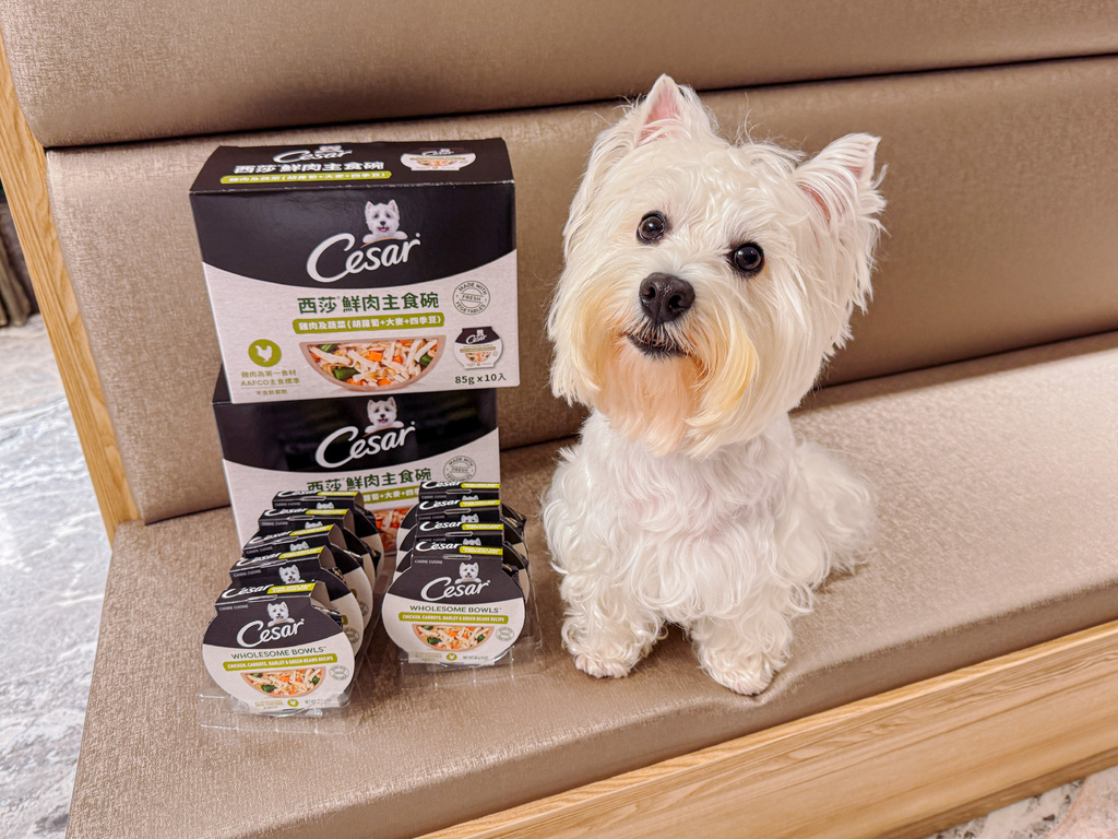 好市多搶先開賣 Cesar 西莎新品：鮮肉主食碗 真材實料營