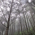 《賽德克巴萊》!!!下雨下到我的鏡頭都是水滴