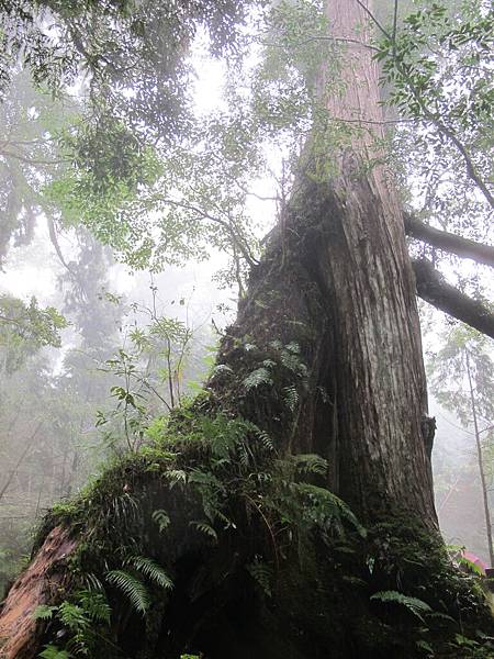 《就是要香戀》也在這裡取景