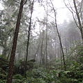 下次還是夏天來比較不會下雨，風景和空氣真好!!!