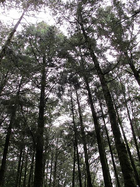 可惜第二天還是一直下雨，哈哈