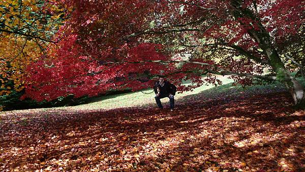 紅了紅了! 這下真的紅了