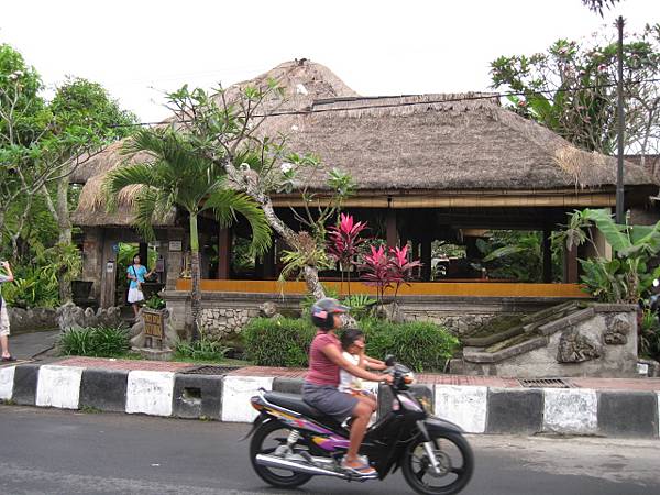 我們住的cottage對面原來就是髒鴨子餐廳啊