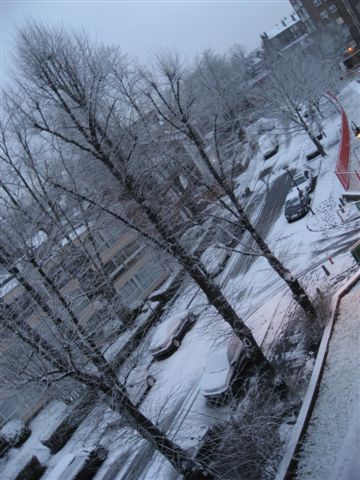 車上屋頂上都是雪喔！好開心喔