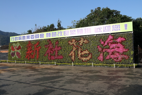 新社花海09.jpg 新社花海09.jpg