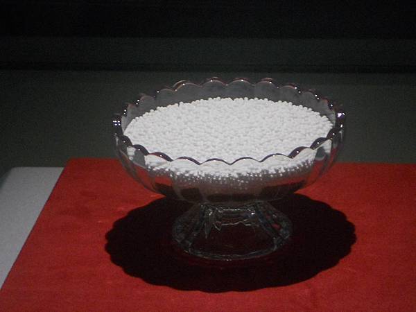 佛光山佛陀紀念館 080