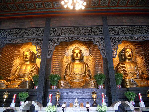 佛光山佛陀紀念館 104