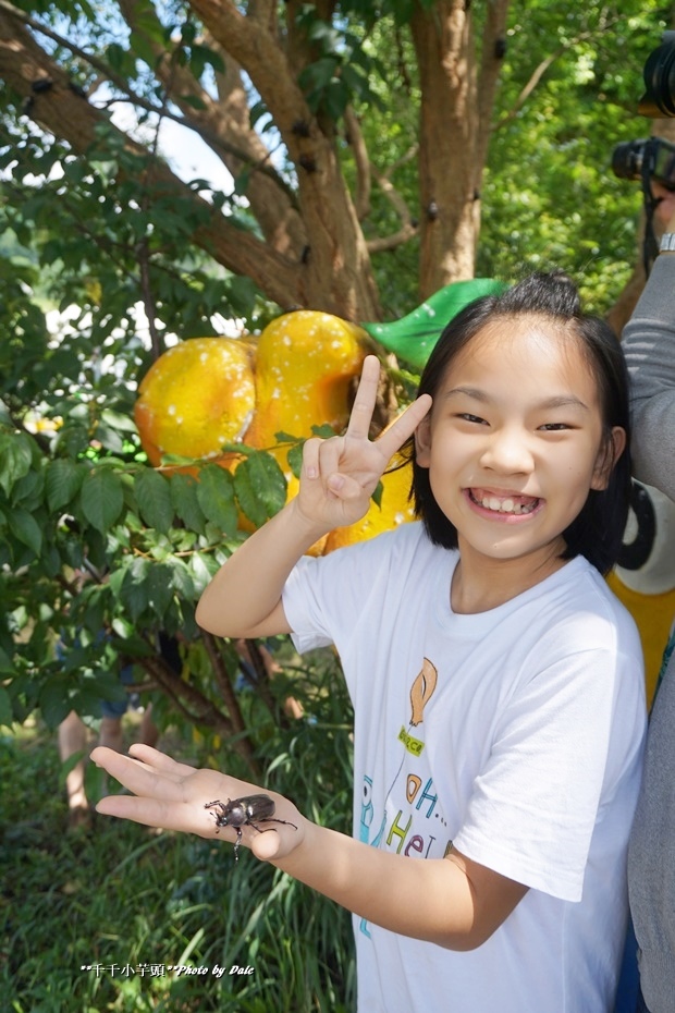 東勢巷弄美食diy採果樂7.JPG