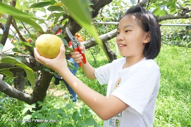 東勢巷弄美食diy採果樂10.JPG