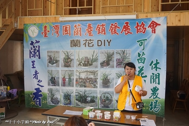 東勢巷弄美食diy採果樂12.JPG