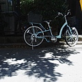 R9041188.jpg